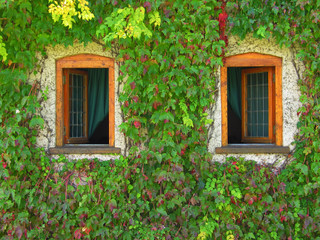 wooden windows