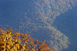 Leinwanddruck Bild virginia blue ridge