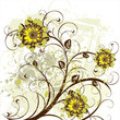 chrysanthemums on grunge background