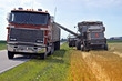 © Denise Kappa - loading grain for transport