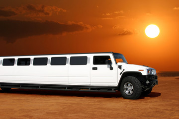 white limousine