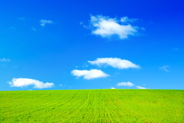  green field and blue sky