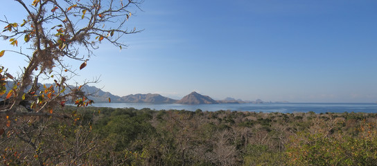 Wall Mural - large view of the komodo island and the mountains over the sea,