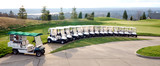 Fototapeta Krajobraz - golf carts