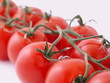 tomaten nah aufnahme