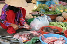 Market Woman Preparing Fish