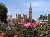 Fototapeta Big Ben - houses of parliament - big ben