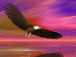 illustrated eagle