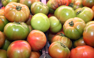 Canvas Print - tomatos