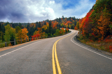 fall highway