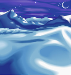 Wall Mural - a snowy night time winter scene