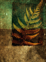 Grunge Background With Fern Leaf
