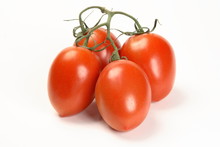 Vine Plum Tomatoes