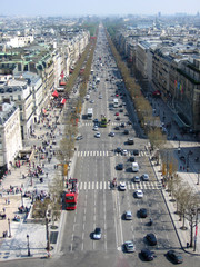 Wall Mural - champs-elysees