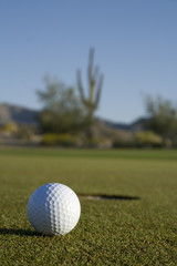 Canvas Print - desert golf course