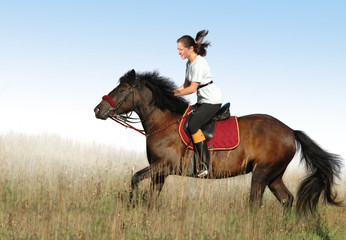 Canvas Print - rider and black horse in a floor