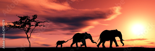 Plakaty zwierzęta   rodzina-sloni