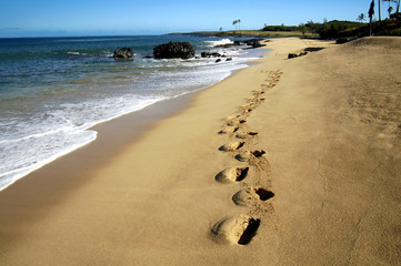 Wall Mural - footsteps in the sand