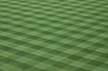 Major League Baseball Field Grass