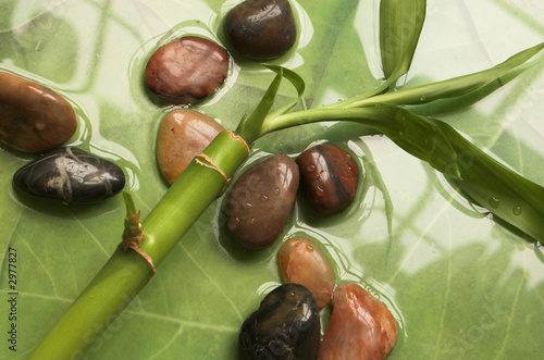 Obraz w ramie bamboo plant and pebbles on water