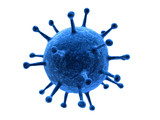 Fototapeta  - isoliertes virus