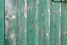 Old Weathered Green Fence.