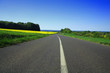 © philippe Devanne - route de campagne et horizon