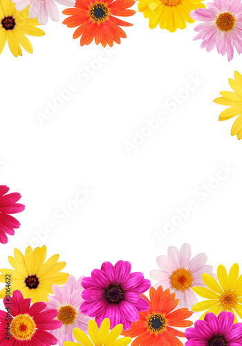 daisy frame
