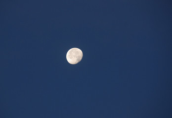 moon in the skies