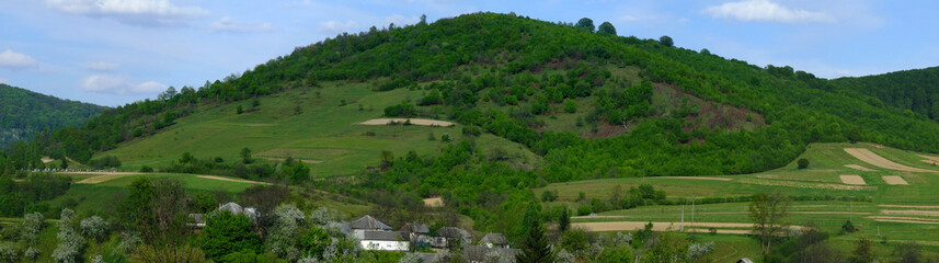 Wall Mural - colourful countryside