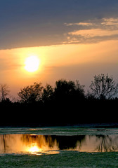 Wall Mural - dawn above lake