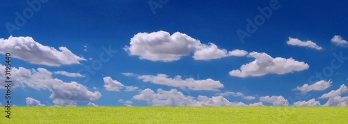 Naklejka samoprzylepna Panorama trawy i chmur