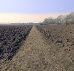 Wall Mural - bidford upon avon warwickshire ploughed field