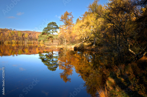 Foto-Stoffbanner - autumn reflections (von Edward Nurse)