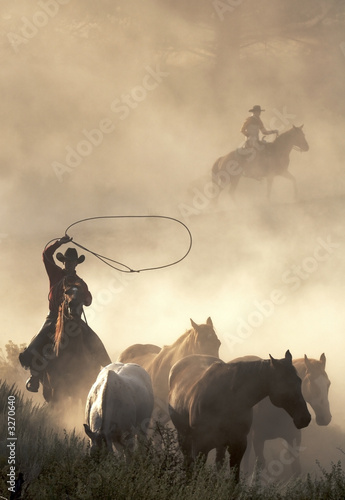 Foto-Duschvorhang - catching wild horses (von JEANNE)