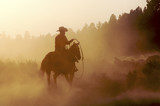 Fototapeta Konie - Silhouette of cowboy riding horse at sunset