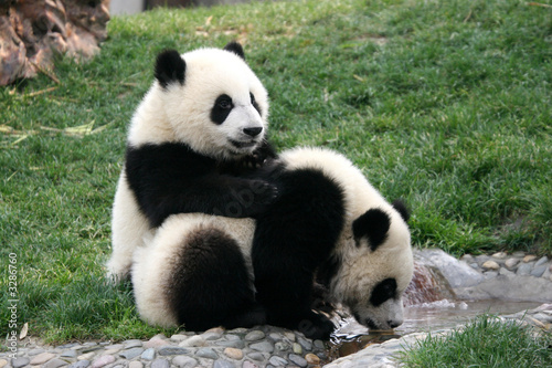 Board z aluminiowym obramowaniem Panda