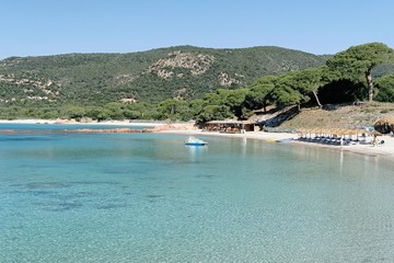 Wall Mural - plage corse palombaggia