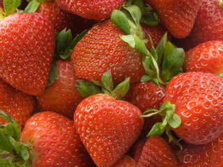 Wall Mural - strawberries