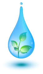 Canvas Print - goutte d'eau avec plante et reflet