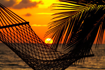 Wall Mural - palm, hammock and sunset