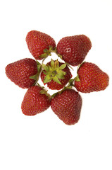 Poster - strawberry flower