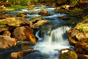 Wall Mural - river