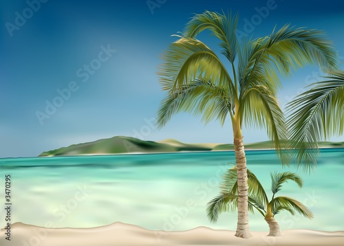 Foto-Plissee - palms beach (von Roman Dekan)