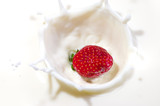 Fototapeta  - fresh strawberry splashing into the milk