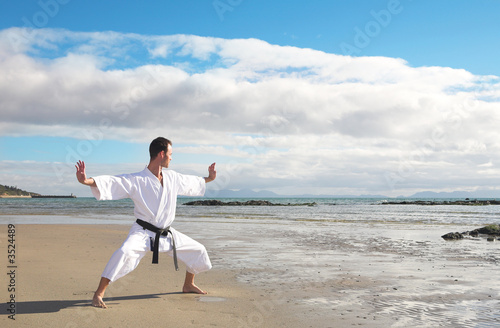 Εκτύπωση καμβά Man practicing Karate on the beach