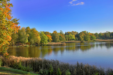 Canvas Print - autumn park