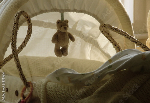 teddy bear moses basket