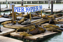 Pier 39 At San Francisco Bay Area