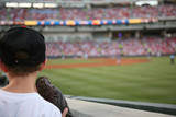 Fototapeta Pomosty - Young baseball fan watches the major league baseball game